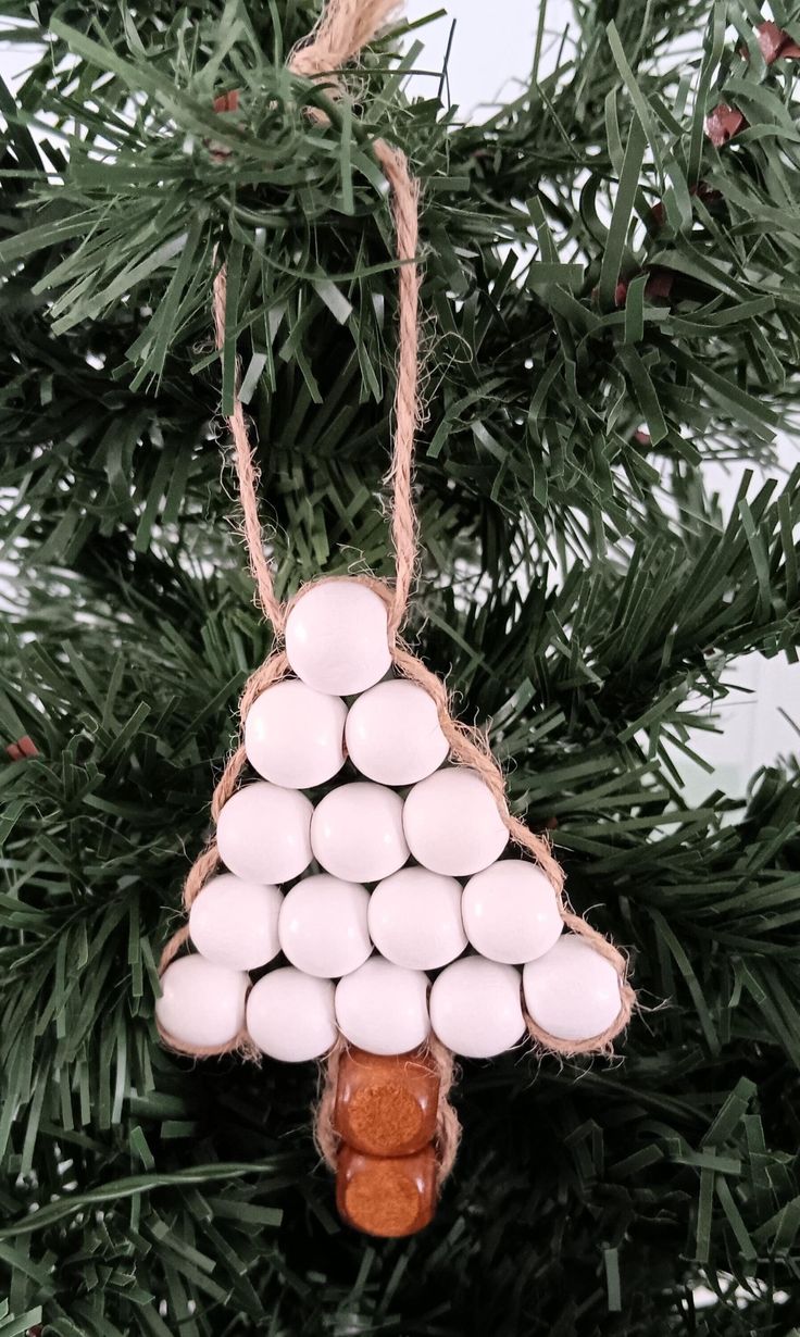 an ornament made out of eggs hanging from a tree