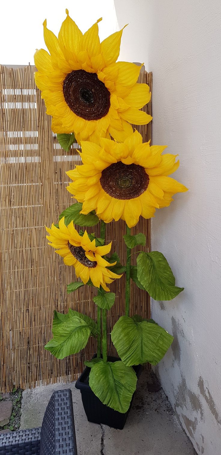 a bunch of sunflowers that are in a pot on the ground next to a wall