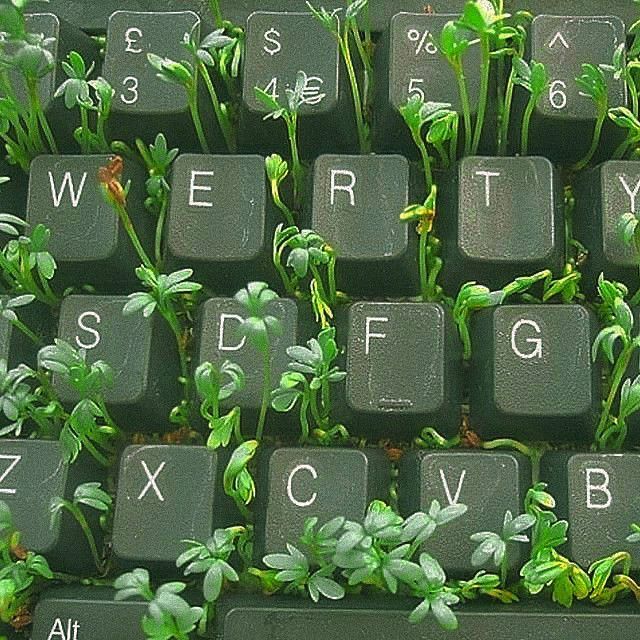 a keyboard with plants growing out of it's keys and the letters are written in white