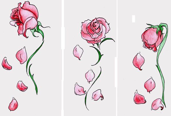 three drawings of pink flowers on white paper