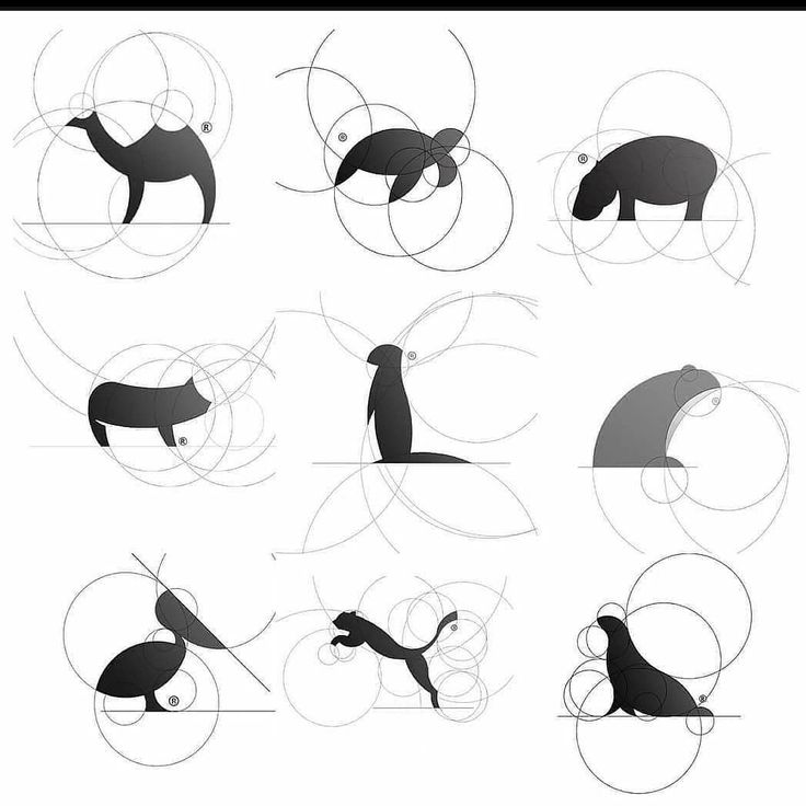 the silhouettes of different animals are shown in black and white, with circles around them