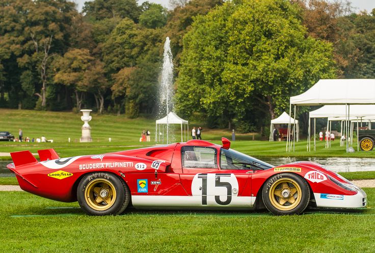 a red race car sitting on top of a lush green field