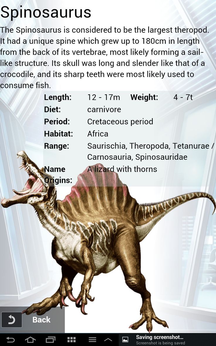 a dinosaur with its mouth open and the words spinosasaurusus on it's back