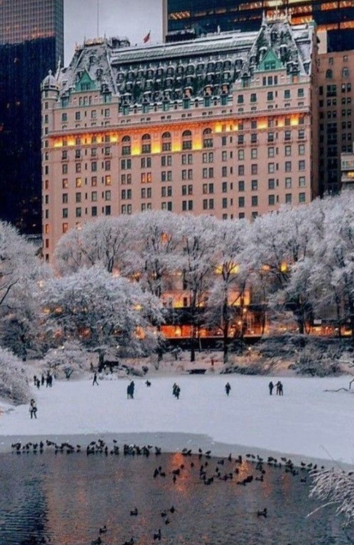 people are walking around in the snow near a large building with lights and trees on it