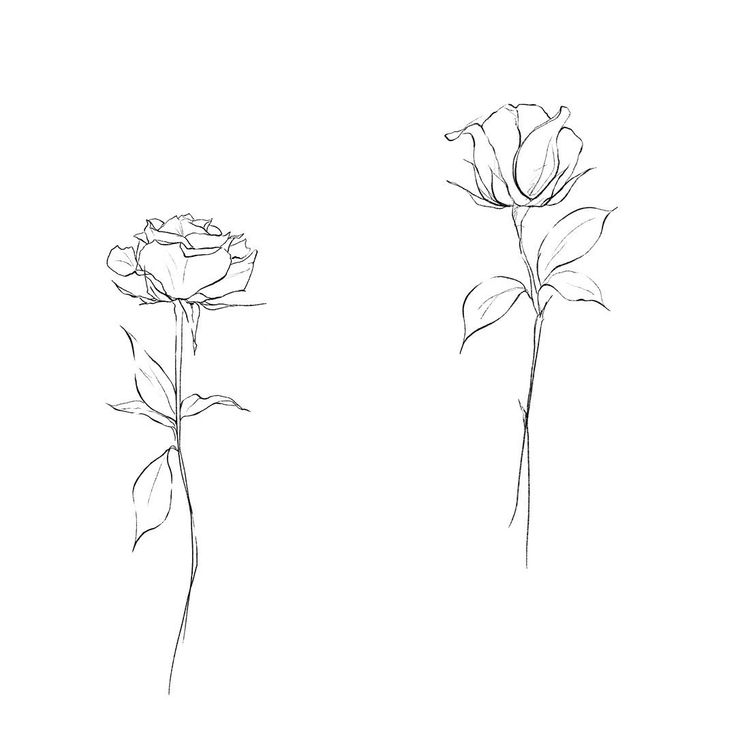 two flowers are shown in black and white, with one single flower on the left side