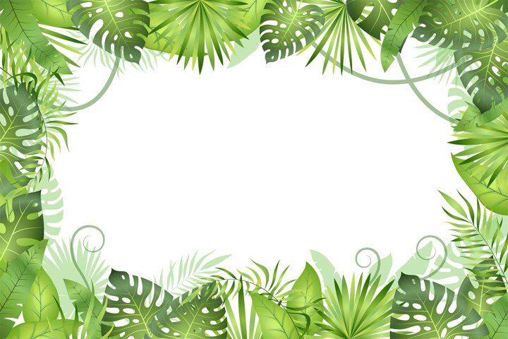 Jungle background. Tropical leaves frame. Rainforest foliage | Fundo de  pintura, Selva, Rostos de animais