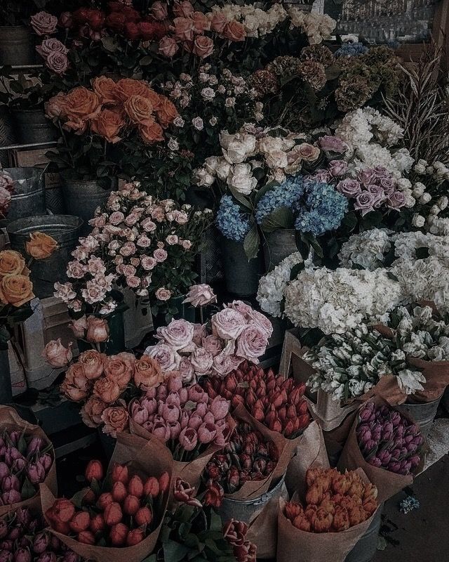 there are many different types of flowers on display