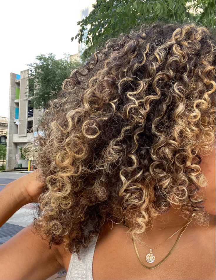 Gold Highlights Curly Hair, Blonde Highlights With Curly Hair, Curly Hair With Light Highlights, Highlights On Natural Curly Hair, Curly Hairlights, 3b Highlights, Dark Brown Hair With Blonde Highlights Curly, Light Blonde Highlights Curly Hair, Curly Honey Blonde Highlights