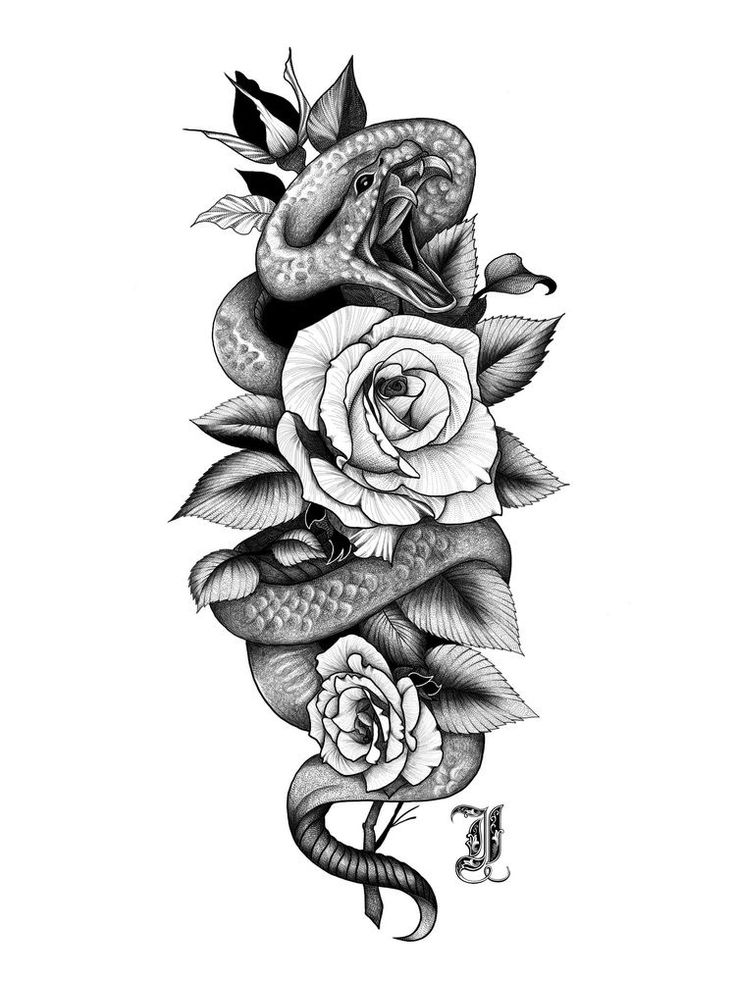 a snake and roses tattoo design