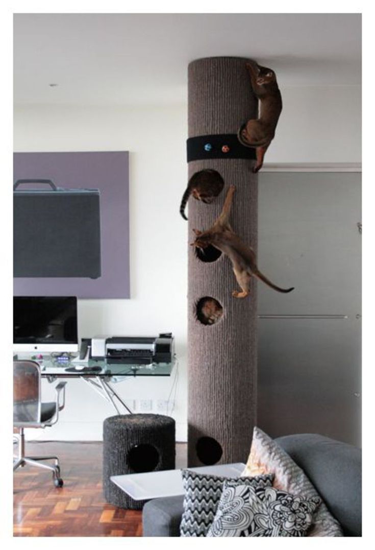 a cat climbing on the top of a scratching post in a living room next to a tv