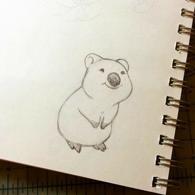 a drawing of a koala sitting on top of a piece of paper next to a ruler