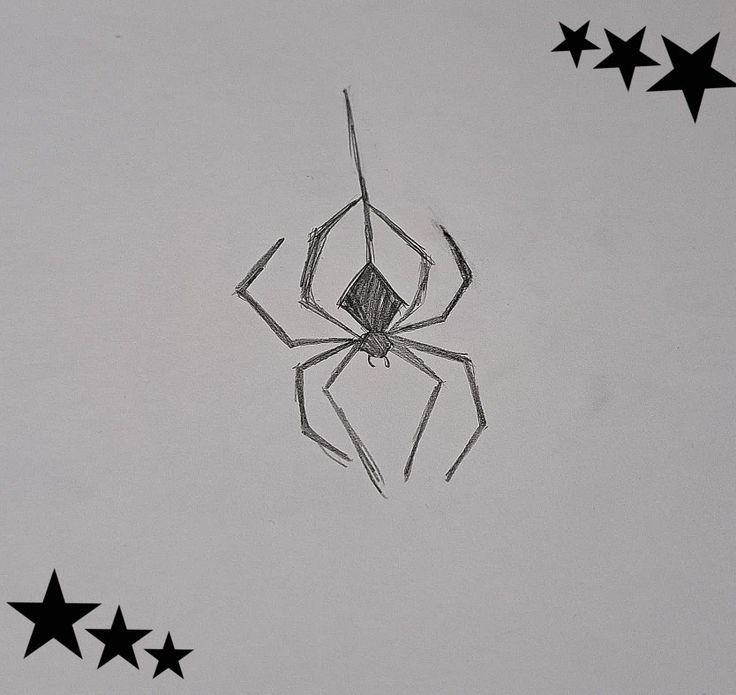 a black and white drawing of a spider with five stars around it's neck