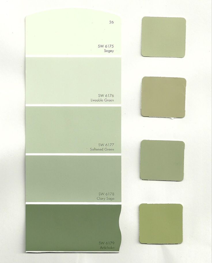 four shades of gray and green paint on a white background with the same color swatches