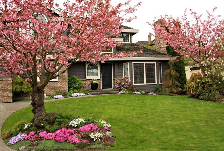 a house with flowering trees in the front yard