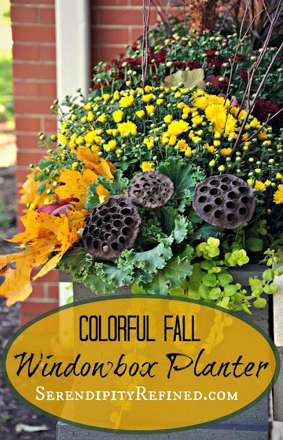 colorful fall window box planter with yellow and orange flowers