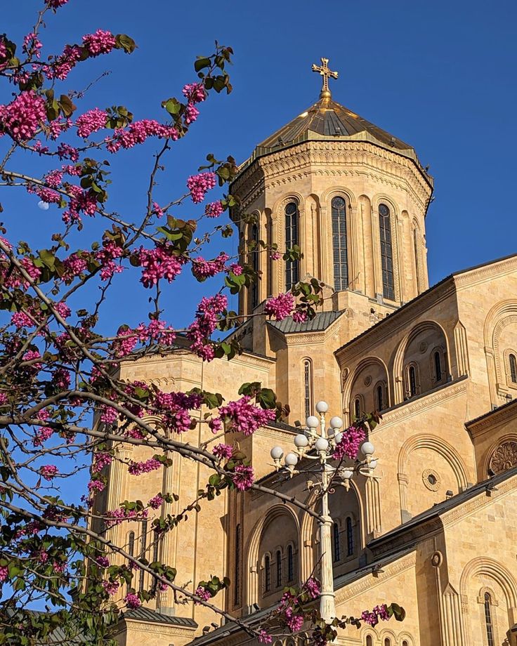 a tall building with a cross on the top and pink flowers in front of it