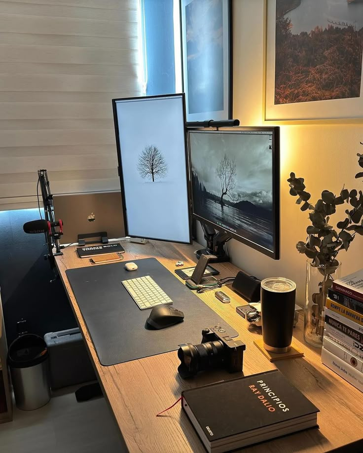 a desk with a computer monitor, keyboard and mouse on it next to a plant