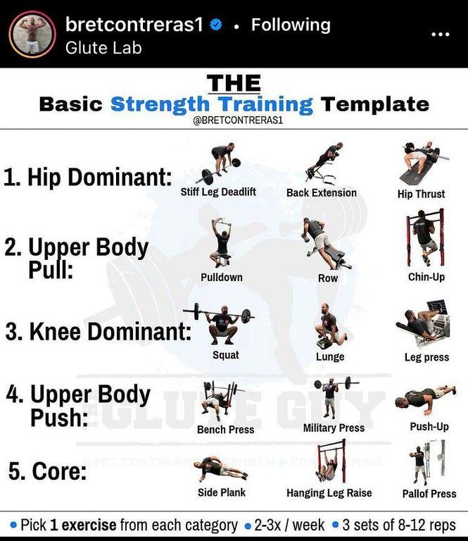 the basic strength training guide for beginners to do squats, pull ups and dips