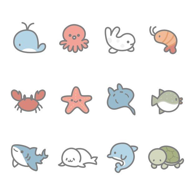 different types of sea animals on a white background