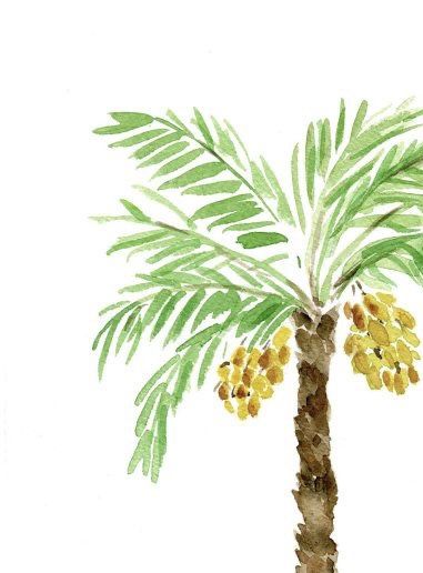 a drawing of a palm tree with fruit on it