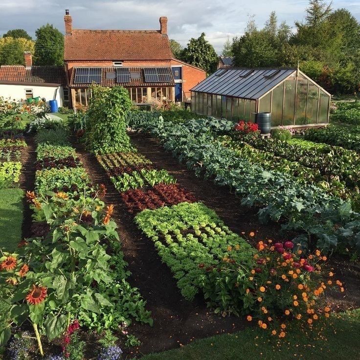 a garden with many different types of flowers and plants growing in the ground next to each other