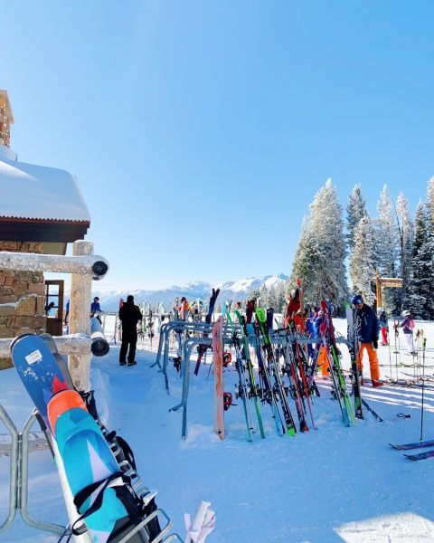 a group of people with skis standing in the snow