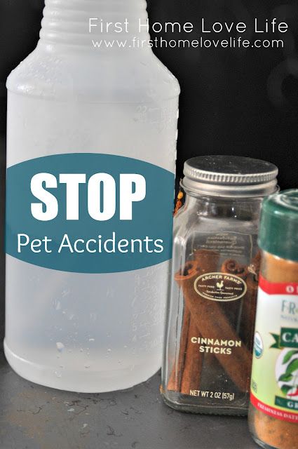 a bottle of water, cinnamon spice and an empty glass jar with the words stop pet ingredients on it