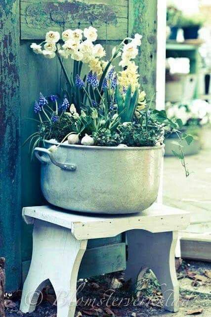 a planter with flowers sitting on a bench in front of an old green door