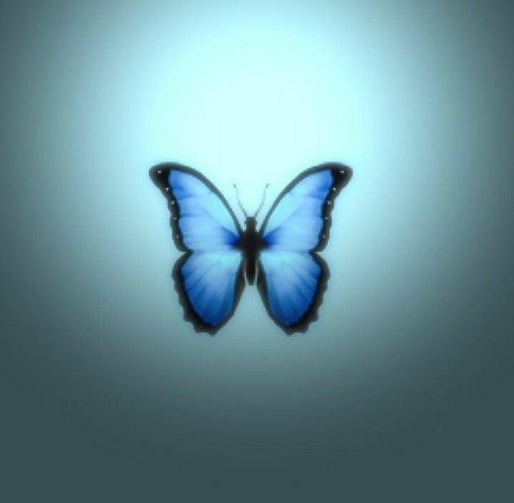 a blue butterfly flying through the air