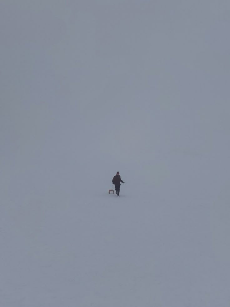 a person walking in the snow with a dog