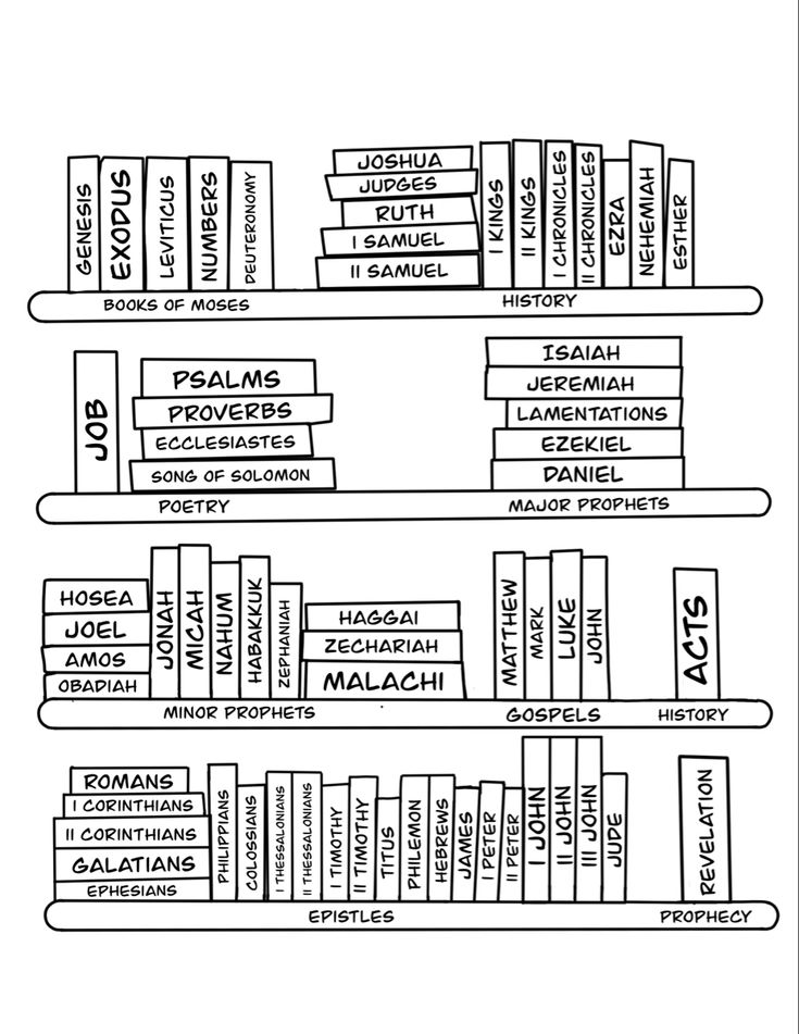 a diagram of the library with several books on each shelf and two rows of books below