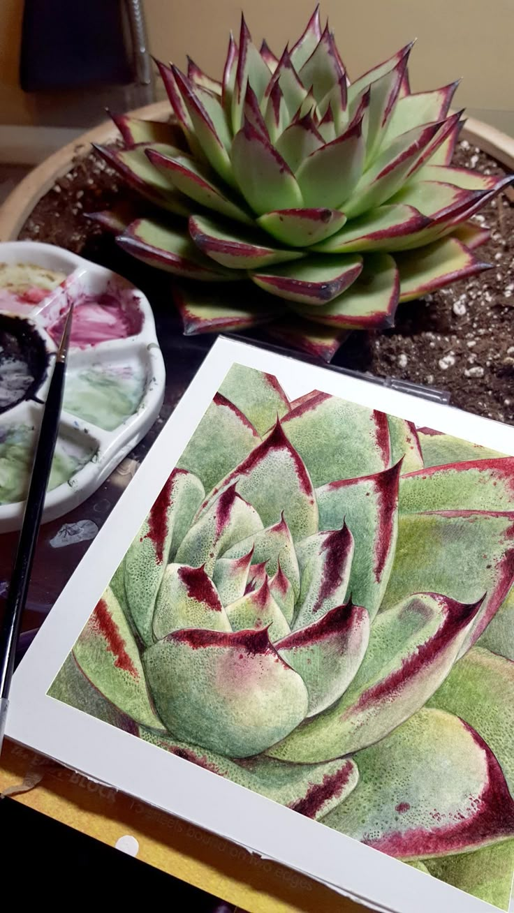 an image of a succulent plant on a table next to other art supplies