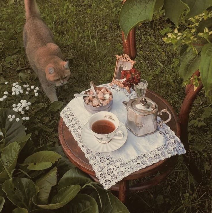 a cat standing next to a table with food on it and a cup of tea