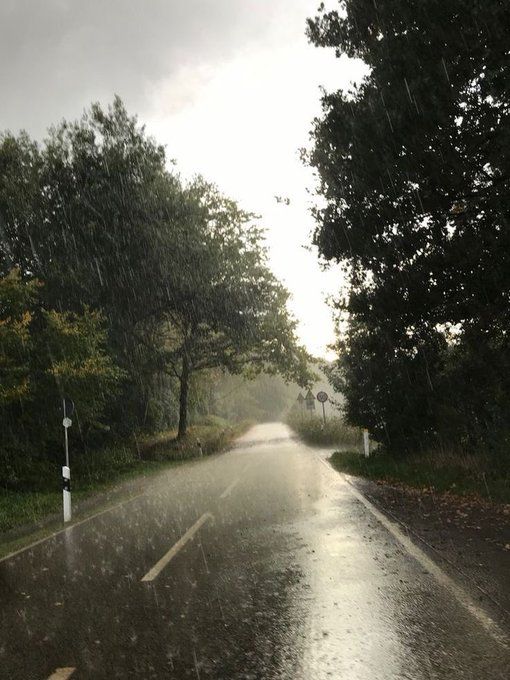 a wet road with trees on both sides