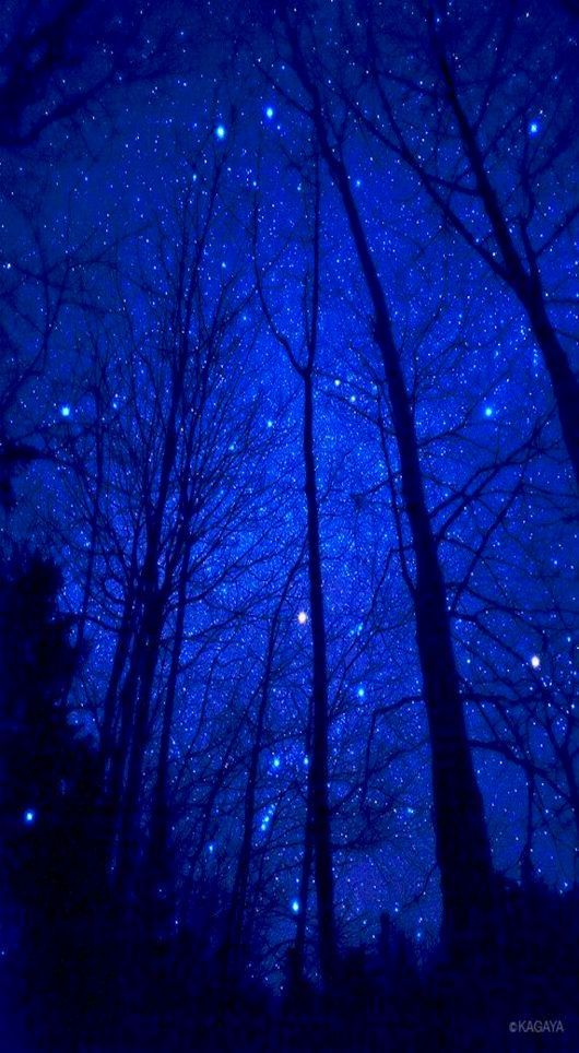 the night sky is filled with stars and trees