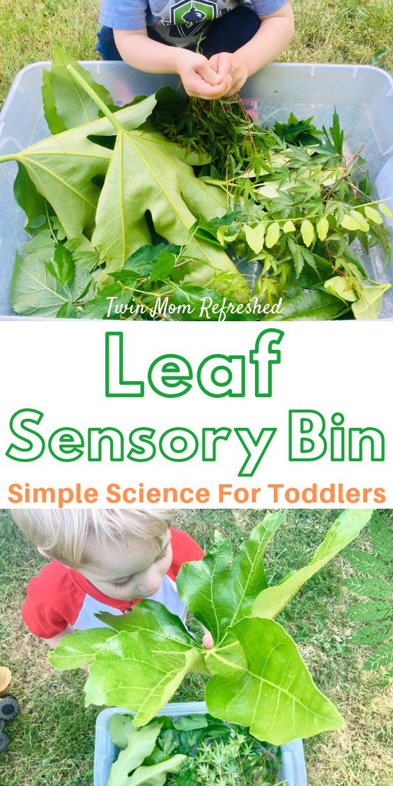 a boy is playing with some plants in the yard and text reads leafy sensory bin simple science for toddlers