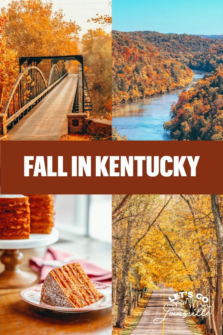 fall in kentucky collage with photos of trees, bridge and river