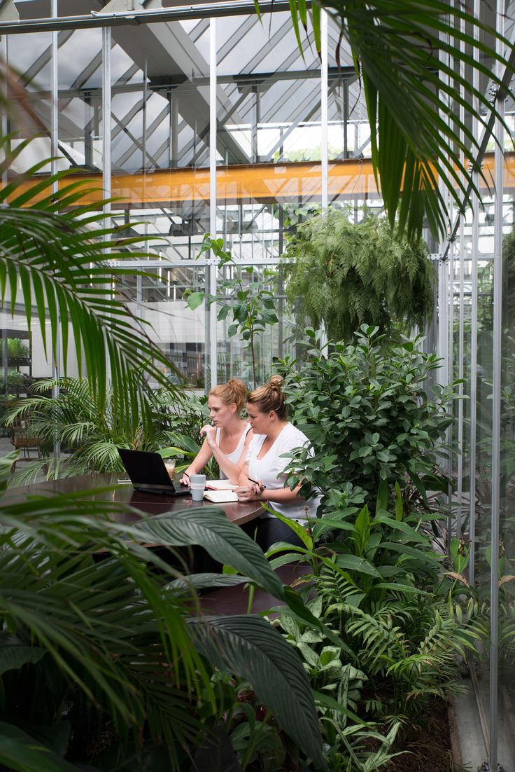 two women sitting at a table in a greenhouse working on their laptops and talking