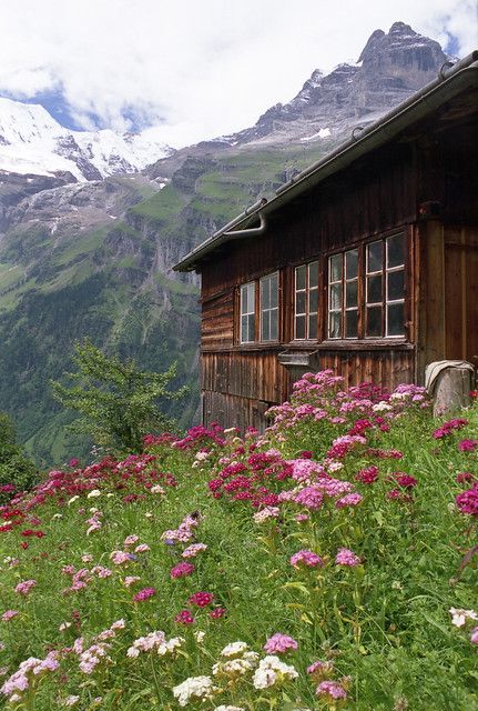 a house in the mountains surrounded by wildflowers