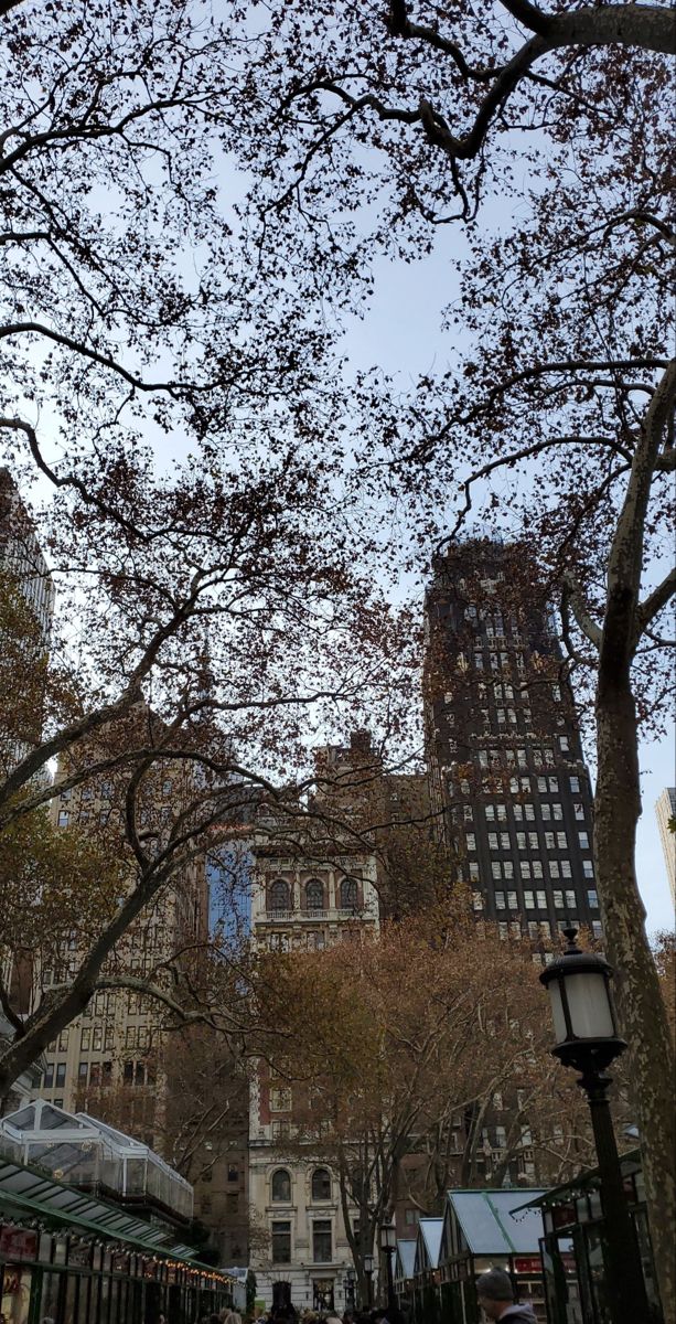 people are walking down the street in front of tall buildings and trees with no leaves on them