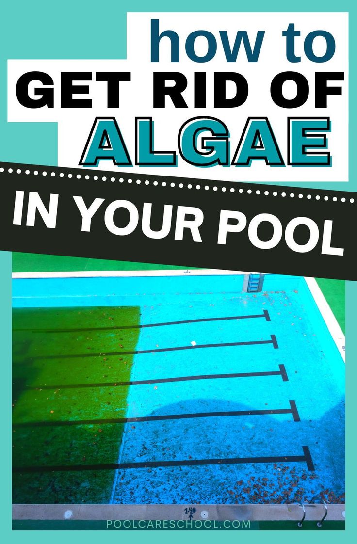 a pool with the words how to get rid of algae in your pool on it