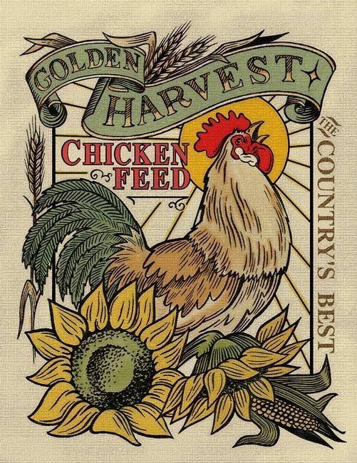 a drawing of a chicken and sunflowers with the words golden harvest on it