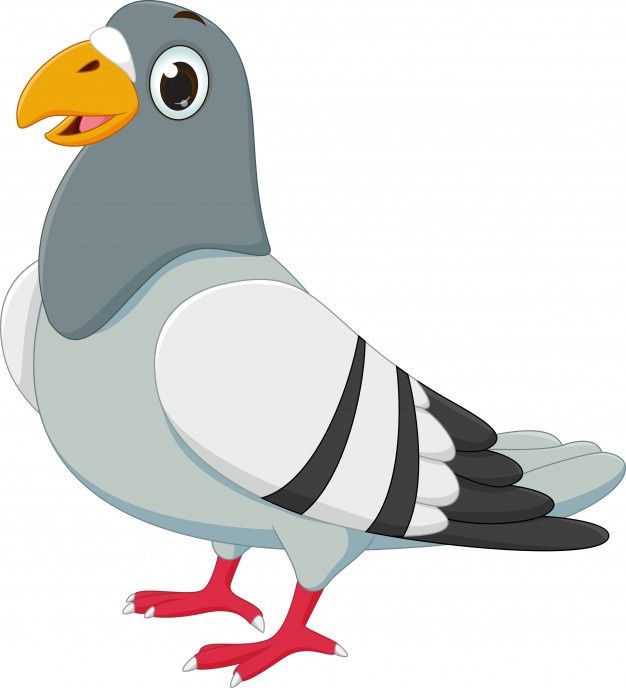 a cartoon pigeon standing on one leg