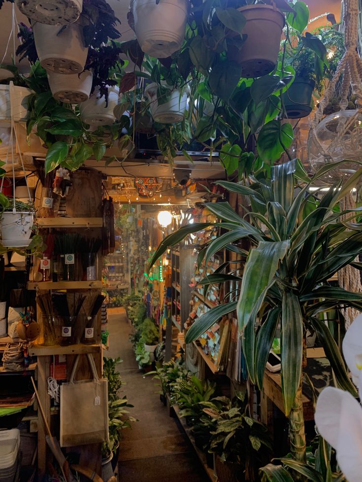 a room filled with lots of potted plants and hanging planters on the ceiling