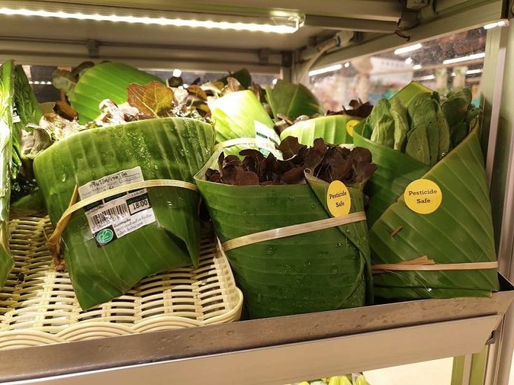 several baskets filled with green leafy plants in a store