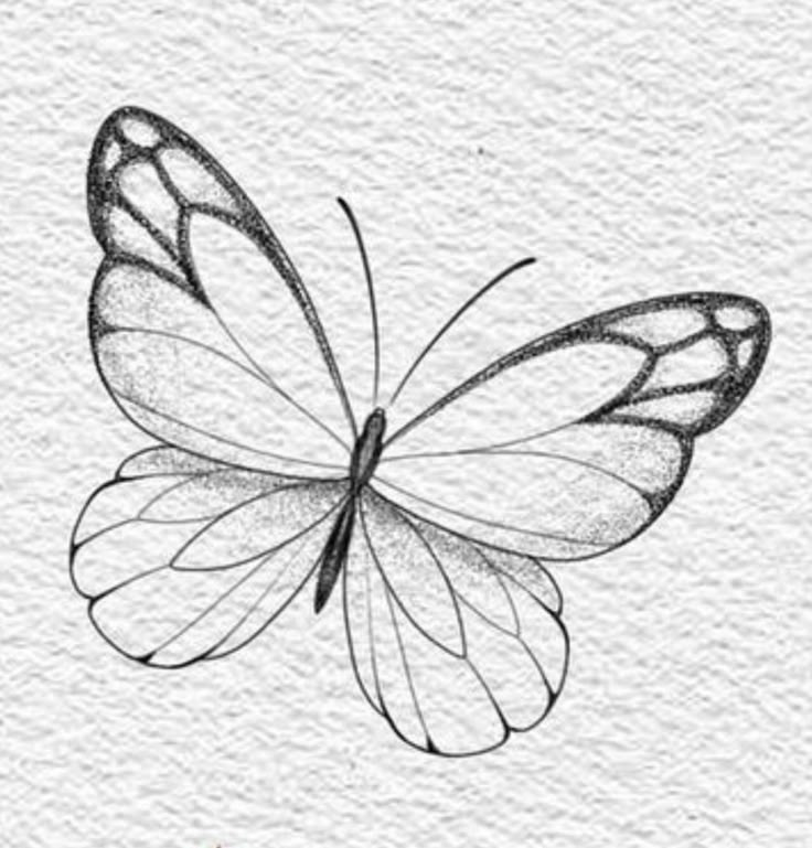 a black and white drawing of a butterfly