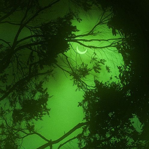 the moon is shining through the trees in the foggy night sky with green hues