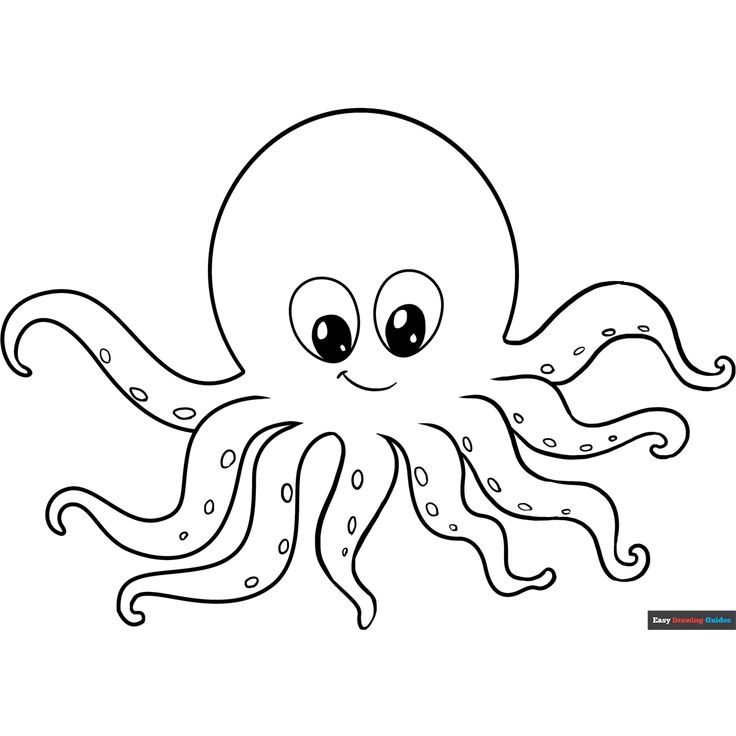 Free Octopus Coloring Page for Kids Octopus Coloring, Octopus Sketch, Octopus Pictures, Octopus Images, Octopus Colors, Octopus Coloring Page, Ocean Coloring Pages, Octopus Drawing, Let's Make Art