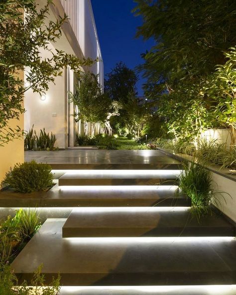 some steps lit up with lights and plants