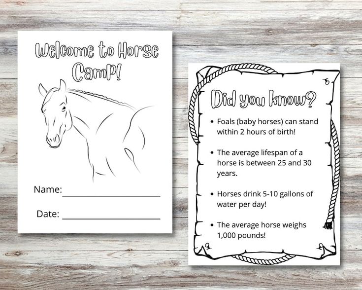 a horse is shown on the front and back of this printable coloring book for kids